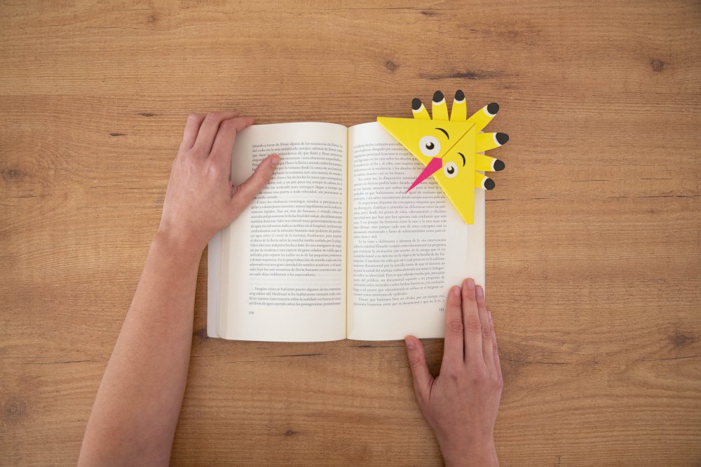 Punto de libro 