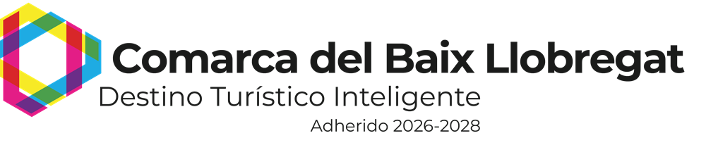Logo DTI Baix Llobregat