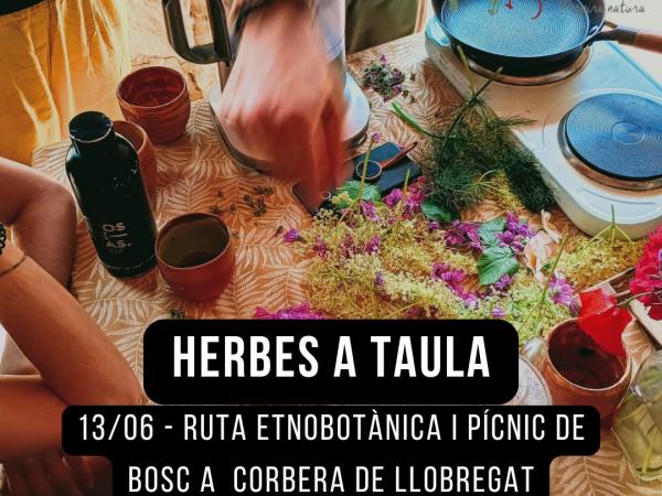 Herbes a Taula