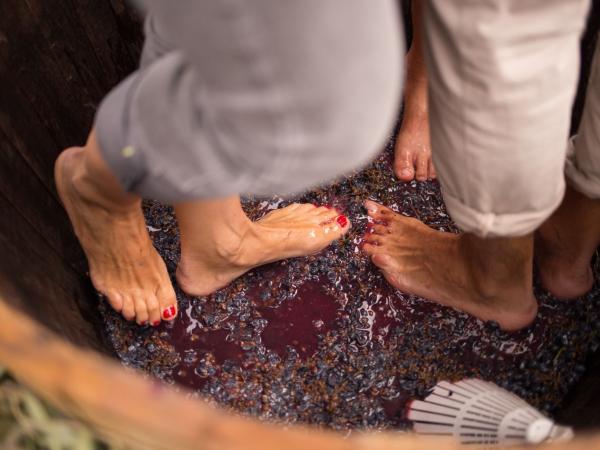 Verema al celler: Dinar de pagès, visita i trepitjada de raïm