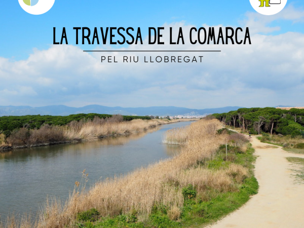 La Travessa de la Comarca 