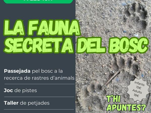 La Fauna Secreta del Bosc