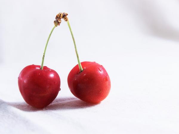 Festa de la Cirera del Papiol