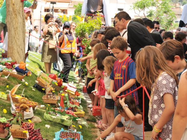 Exposició de cireres de Sant Climent de Llobregat