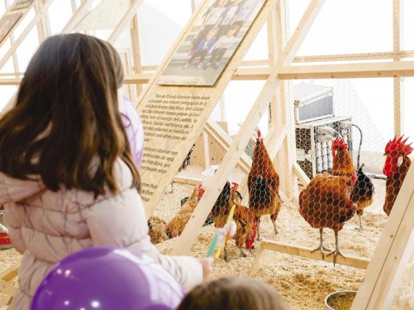 Fira Avícola Raça Prat al Prat de Llobregat