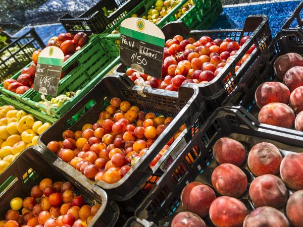 Mercat de Pagès d'Esplugues