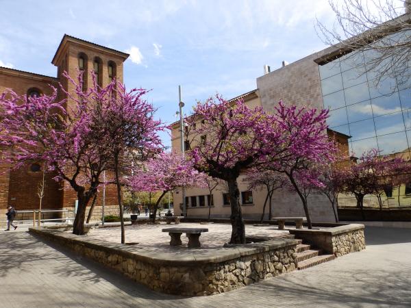 Cornellà de Llobregat
