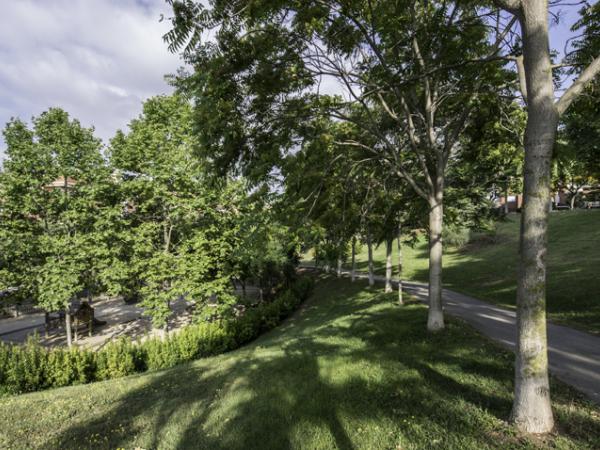 Parc de Can Guardiola.jpg