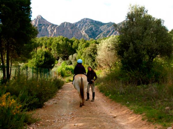 camins a cavall 1.jpg