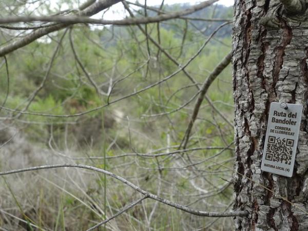 Herboristes i herbes remeieres a Sant Ponç