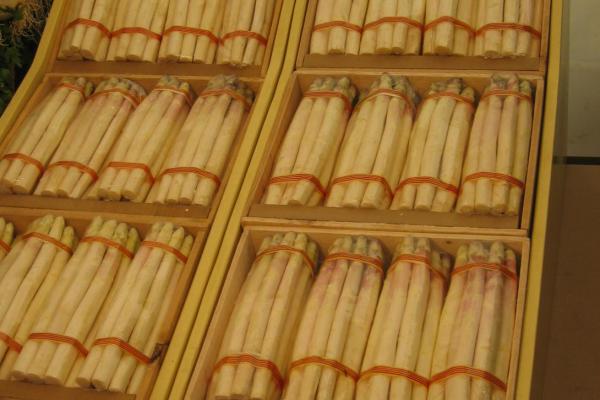 Fires i festes gastronòmiques Baix Llobregat