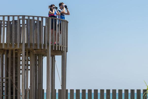 Nova edició de Sostibaix amb una quinzena plena d'activitats sostenibles al Baix Llobregat