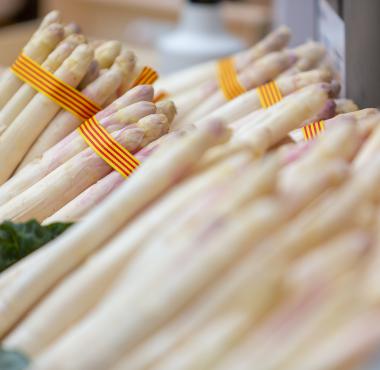 Fira Espàrrecs i GastroGavà