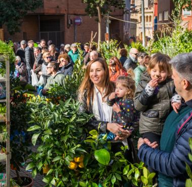 Fira de la Candelera de Molins de Rei