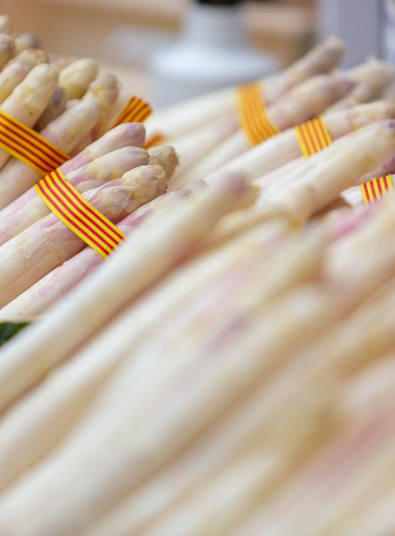 Fira Espàrrecs i GastroGavà