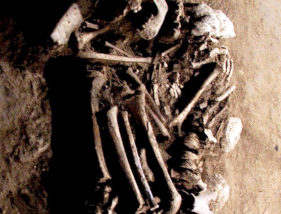 Els arqueòlegs han de conèixer els ossos ''Taller 1''