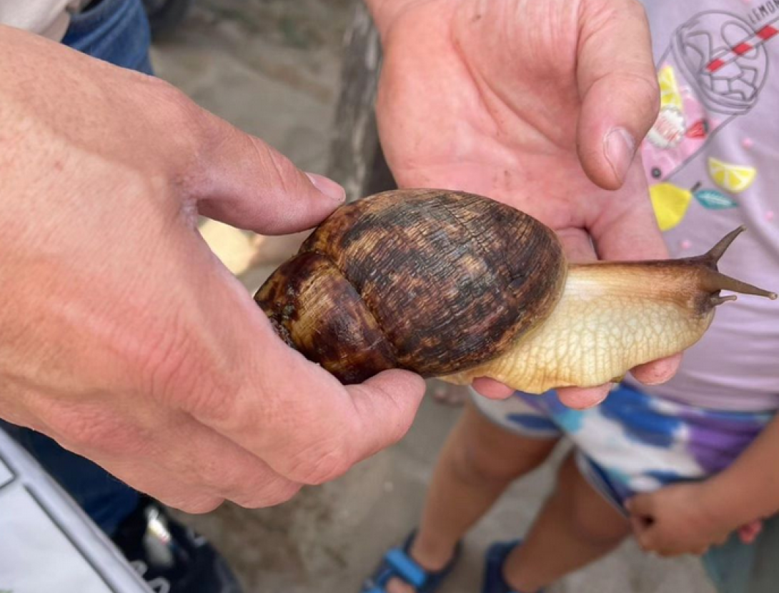 Visitem la Jugatecambiental