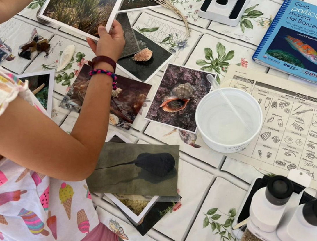 Visitem la Jugatecambiental