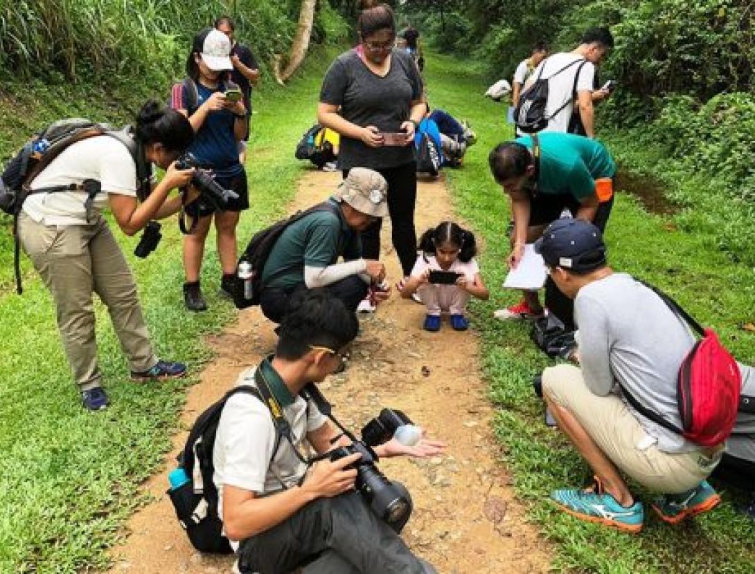 Bioblitz al Llobregat