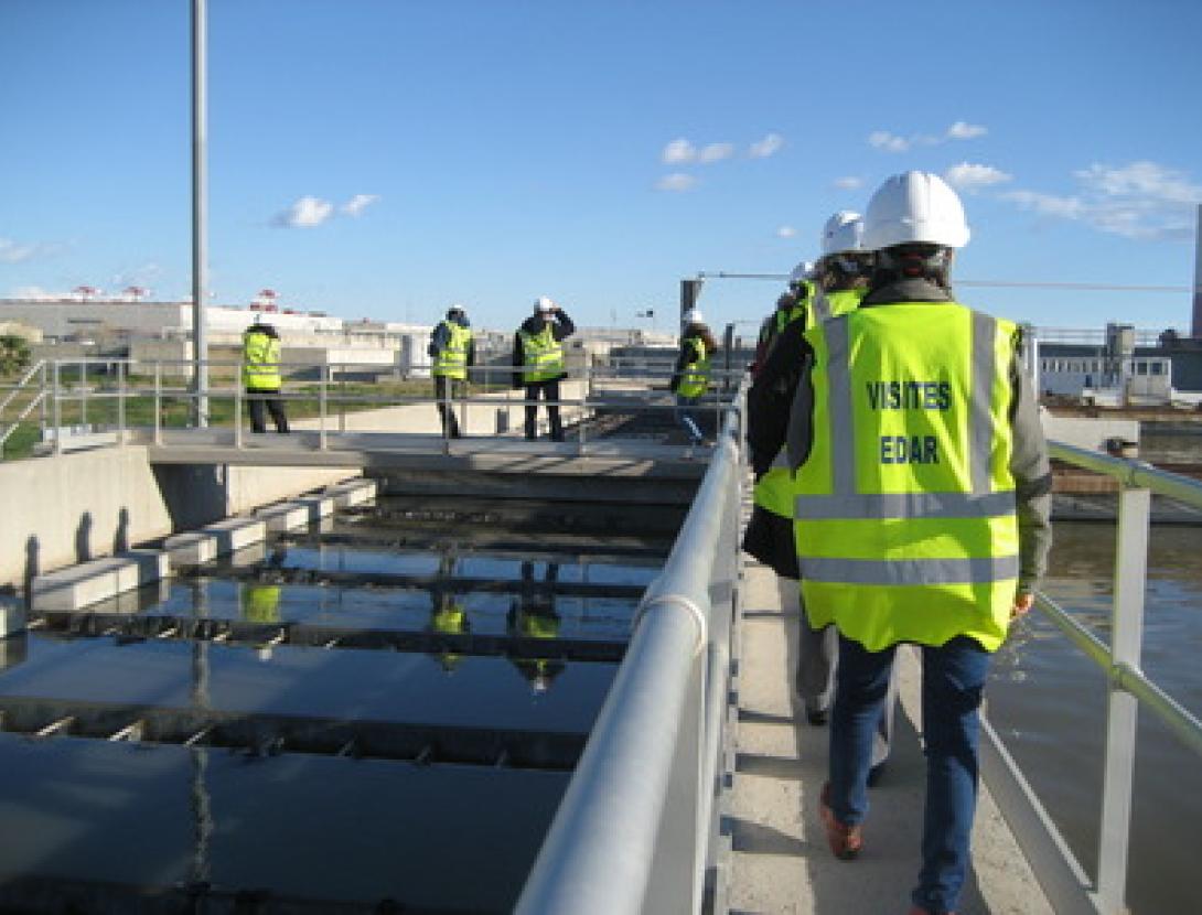 Depuradora de Gavà i les dunes litorals: un ecosistema singular