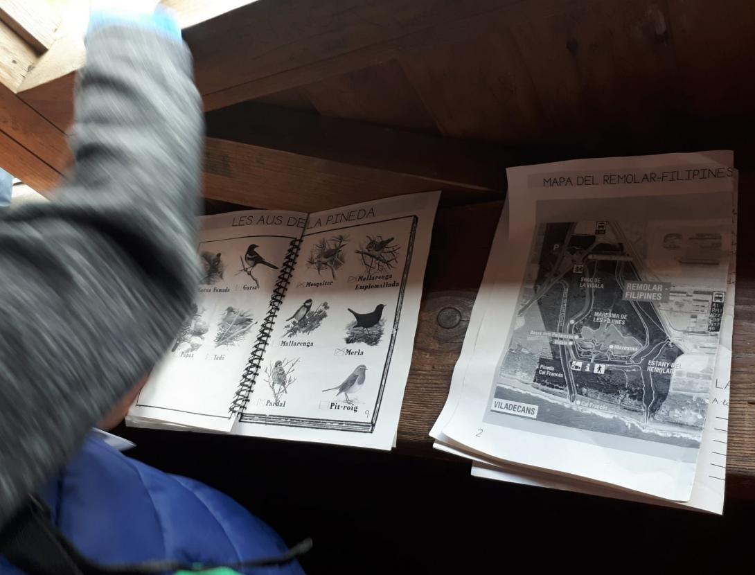 Quin munt de plomes!