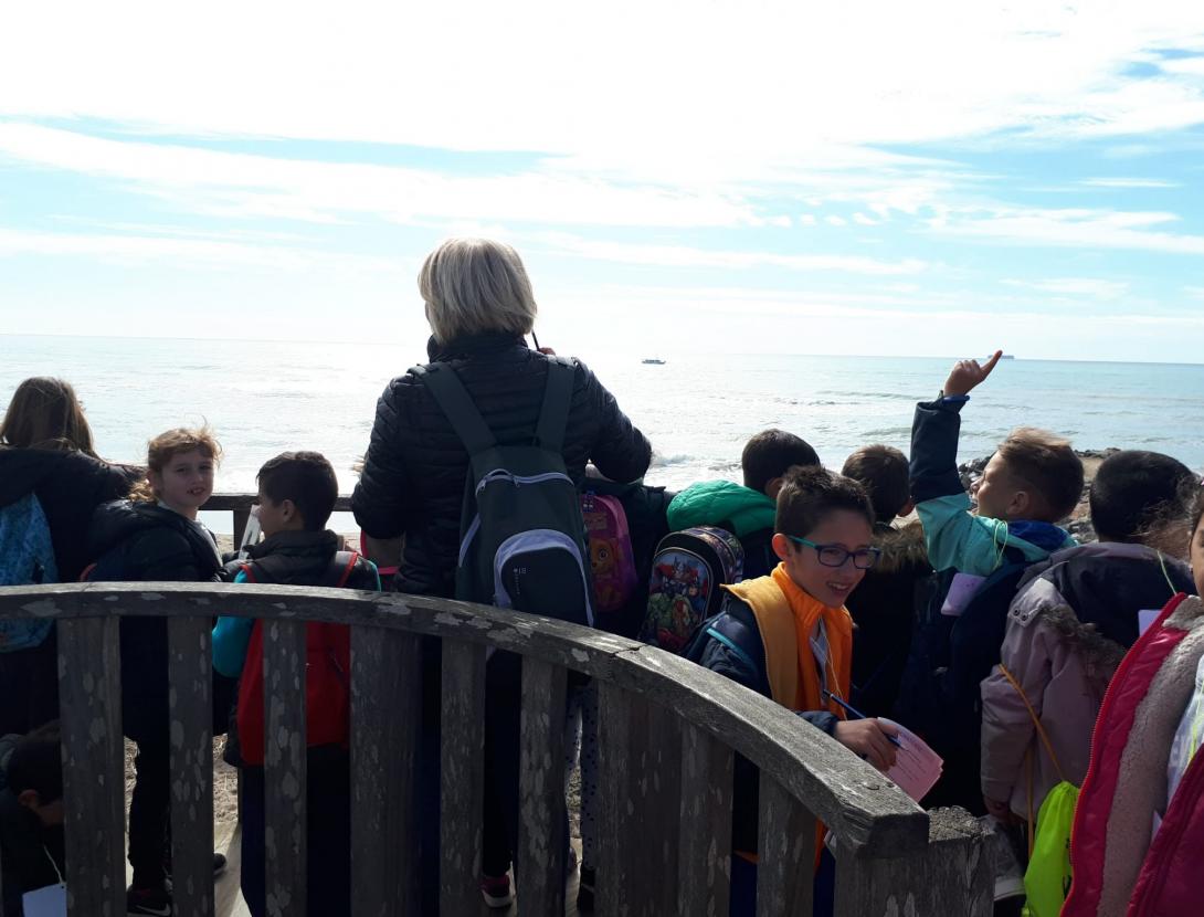 Quin munt de plomes!