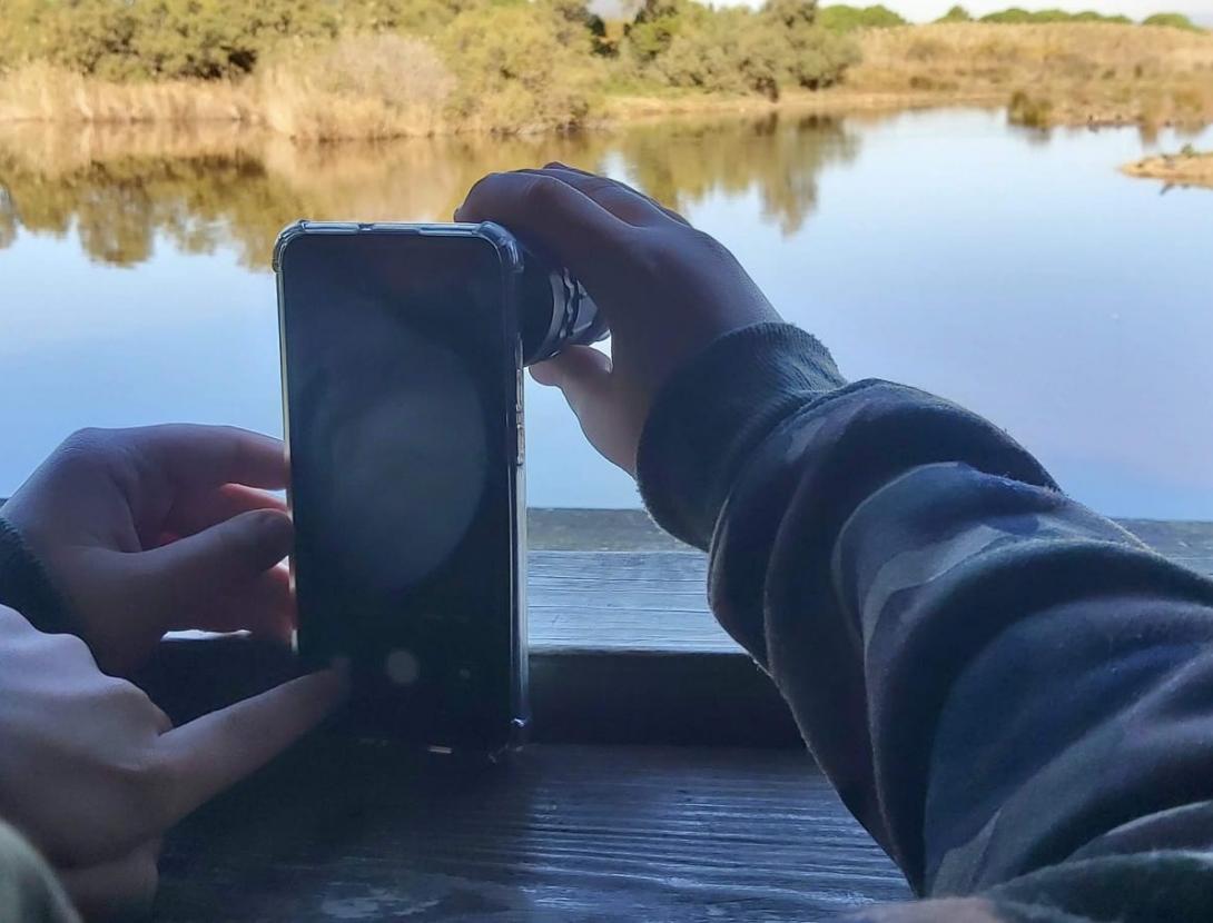 Els estanys litorals