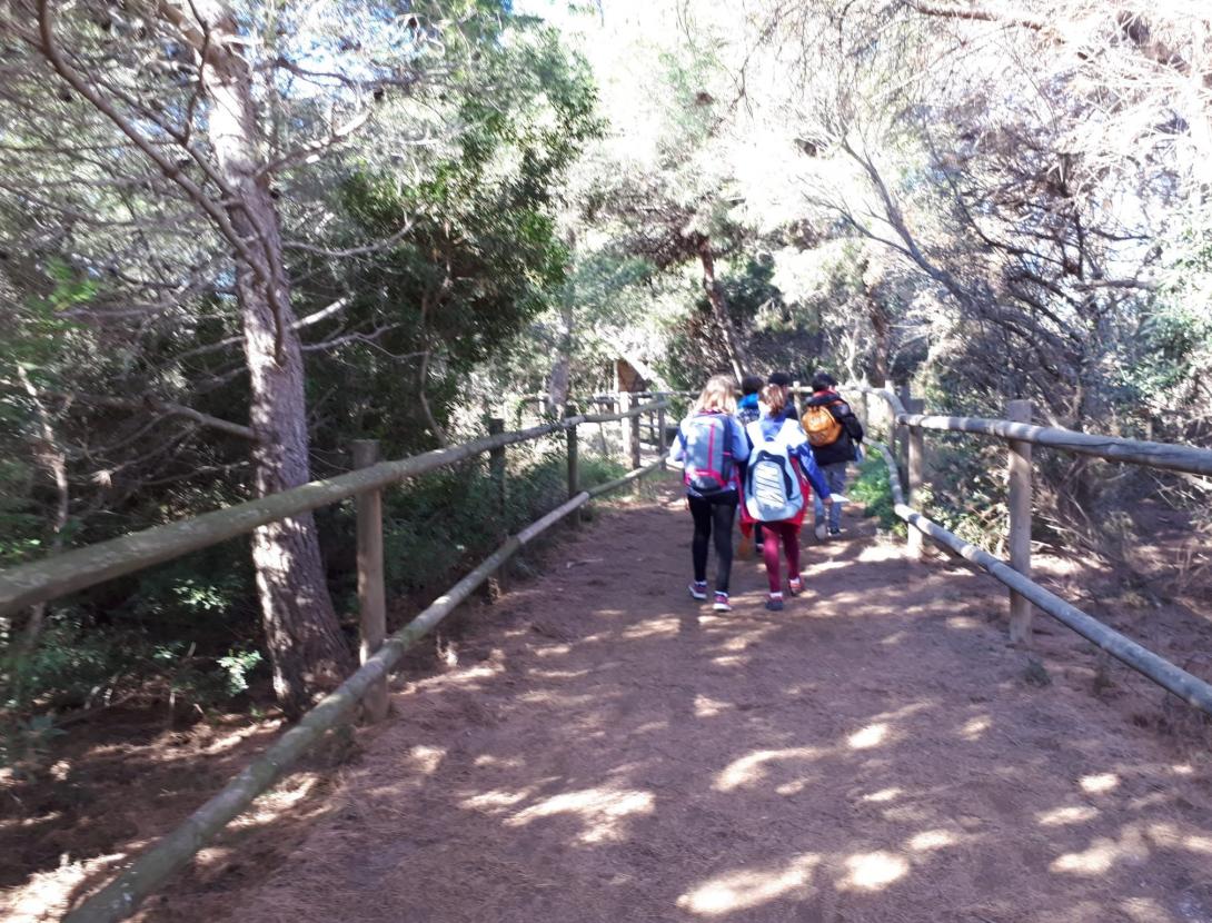 Els estanys litorals