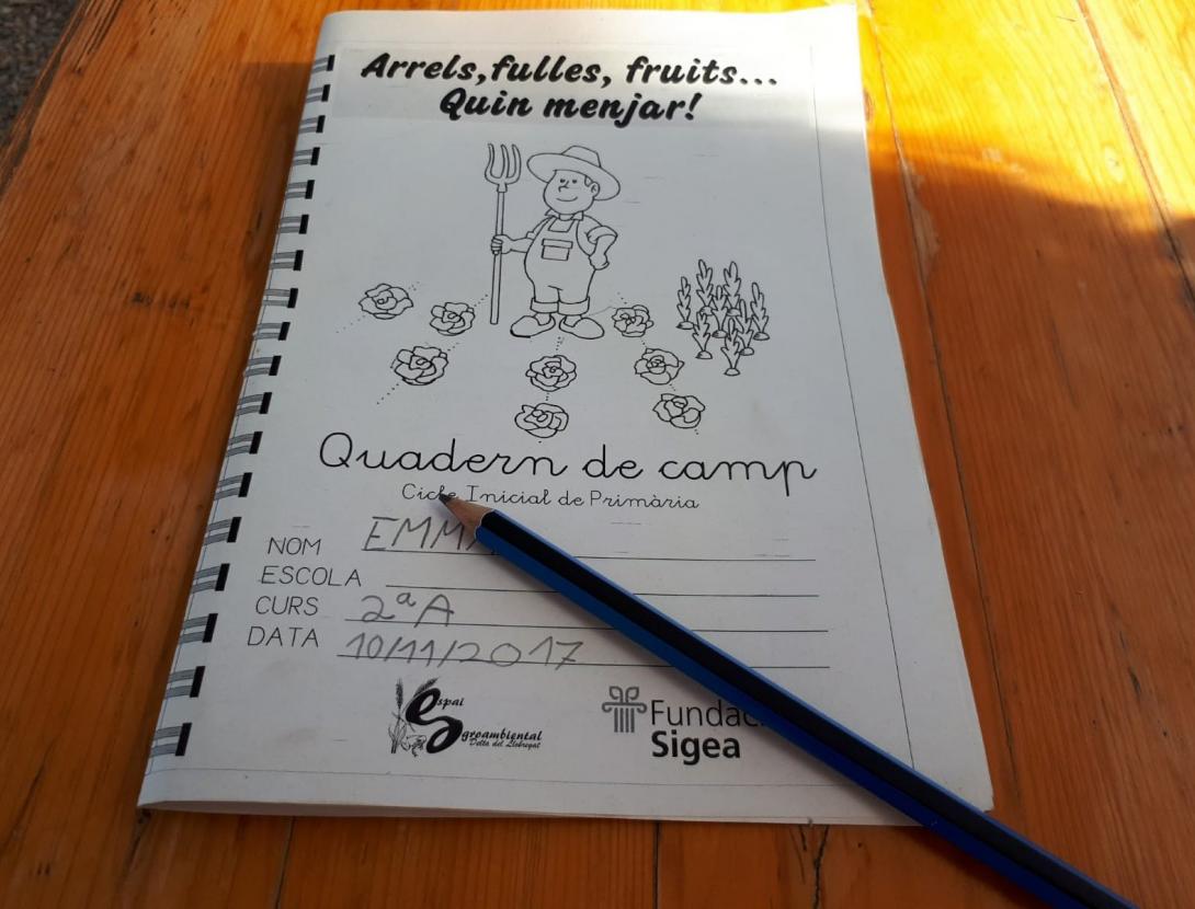 Arrels, fulles, fruits...quin menjar!