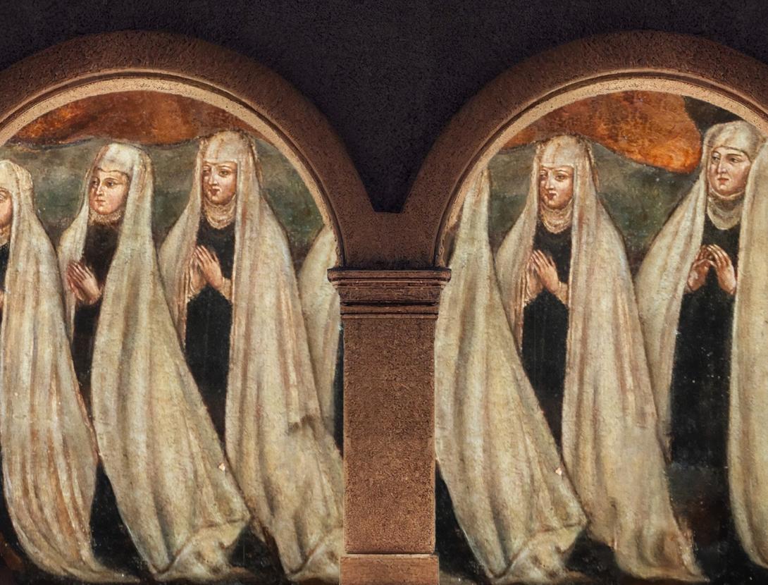 Visites guiades a l'Ermita de Sales. Les deodates de Sales.