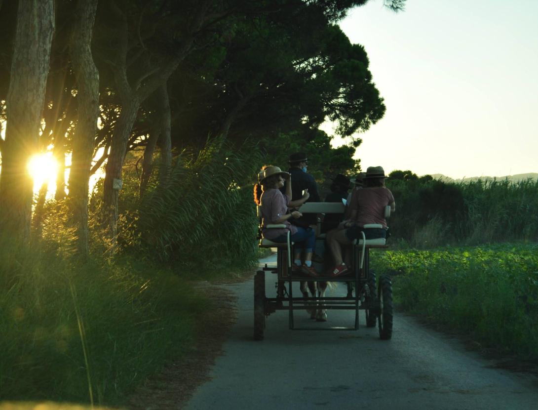 CAPVESPRES EN CARRUATGE