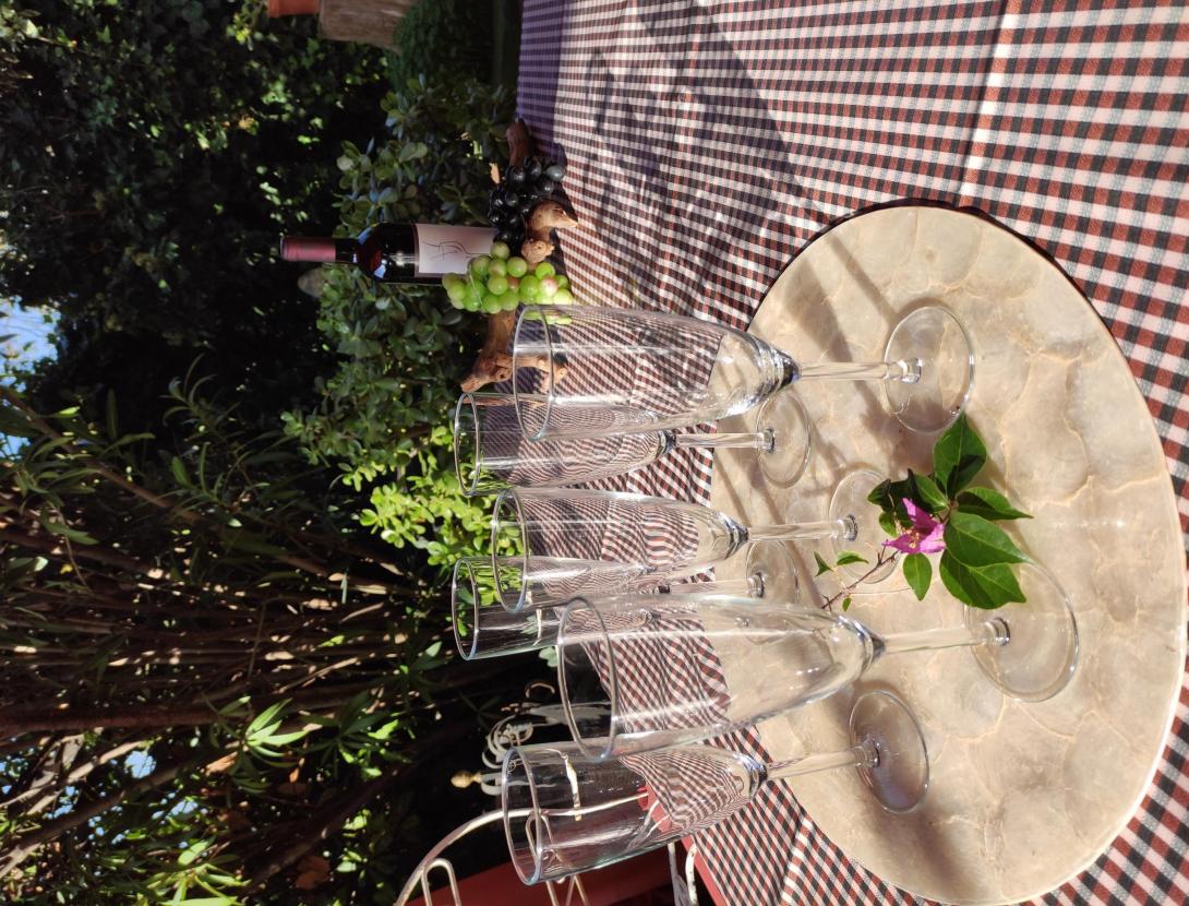 Mima't pintant amb vi