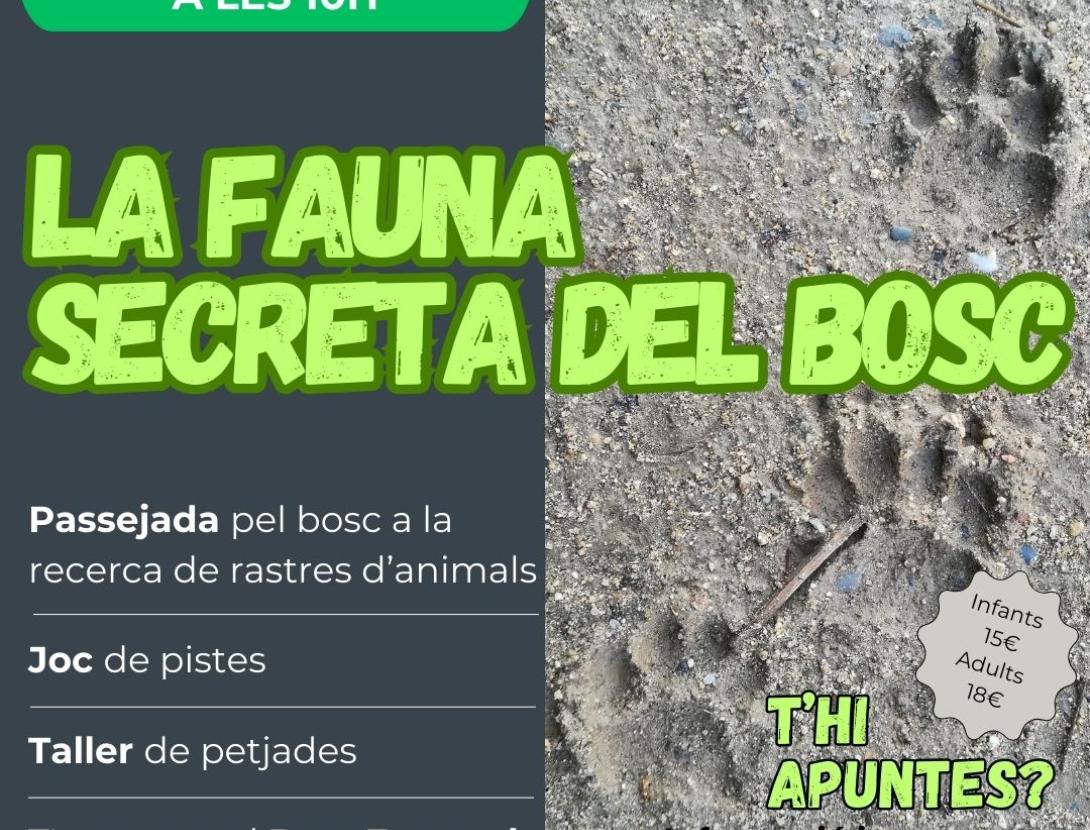 La Fauna Secreta del Bosc