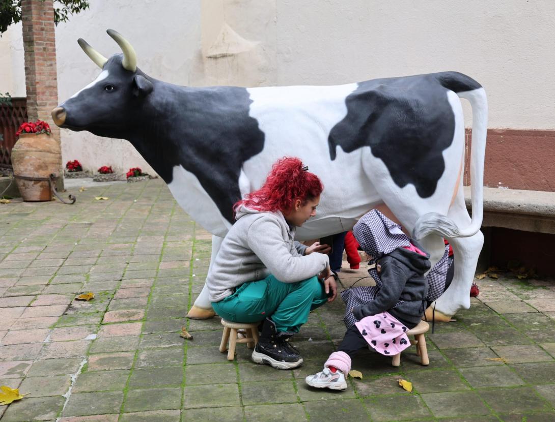 Corral nadalenc a &quot;L'Enrajolada&quot;, Casa Museu Santacana.