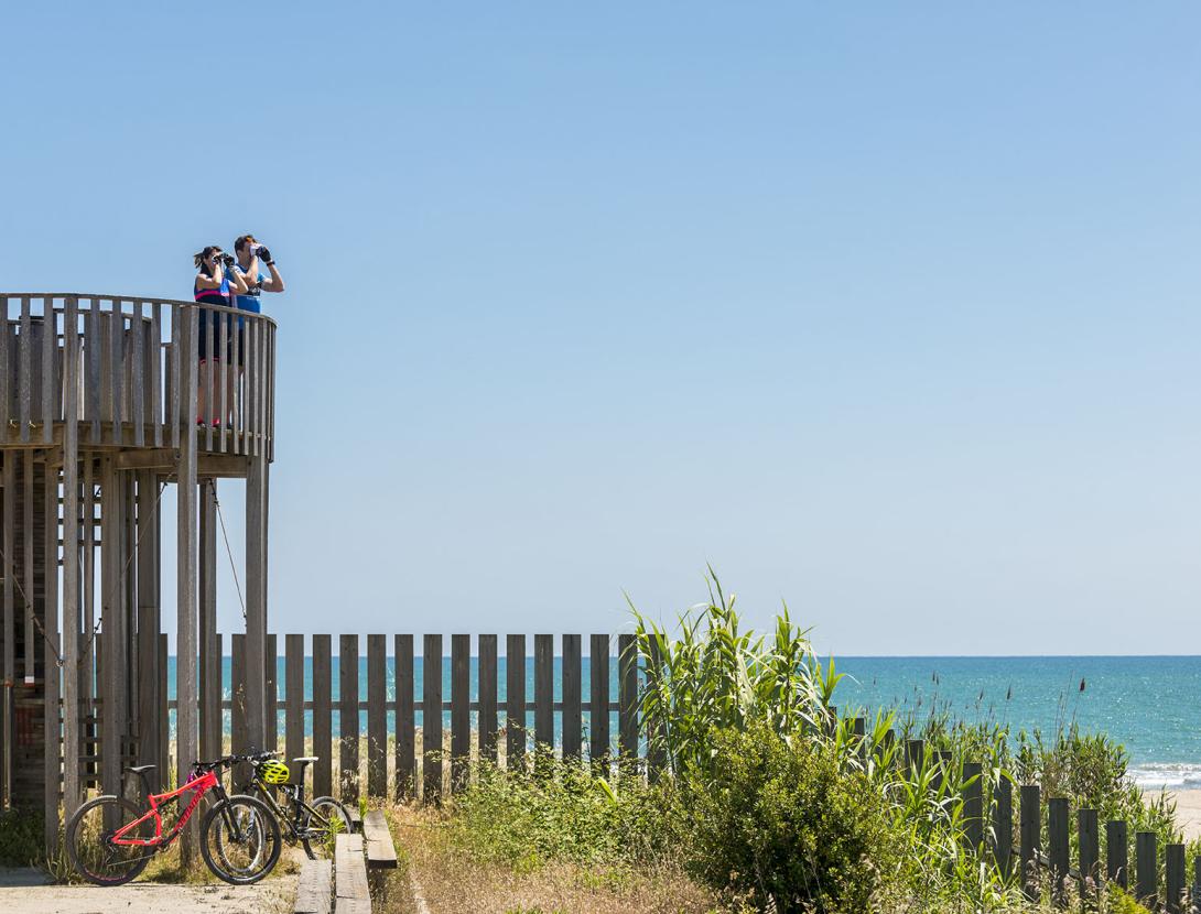 Les platges, les compres i les visites culturals, principals atractius pels turistes del Baix Llobregat
