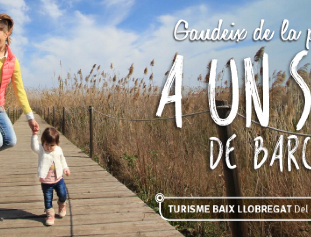 Primavera 600 X 270 CAT 2.jpg