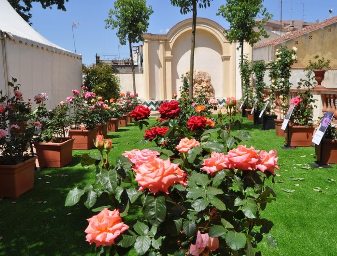 Exposició Nacional de Roses