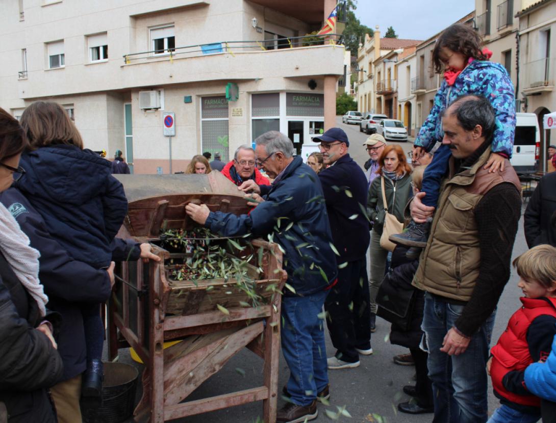 Fira de l'oli a Castellví de Rosanes