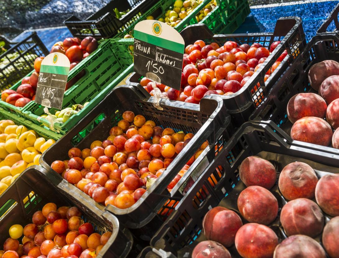 Mercat de Pagès d'Esplugues