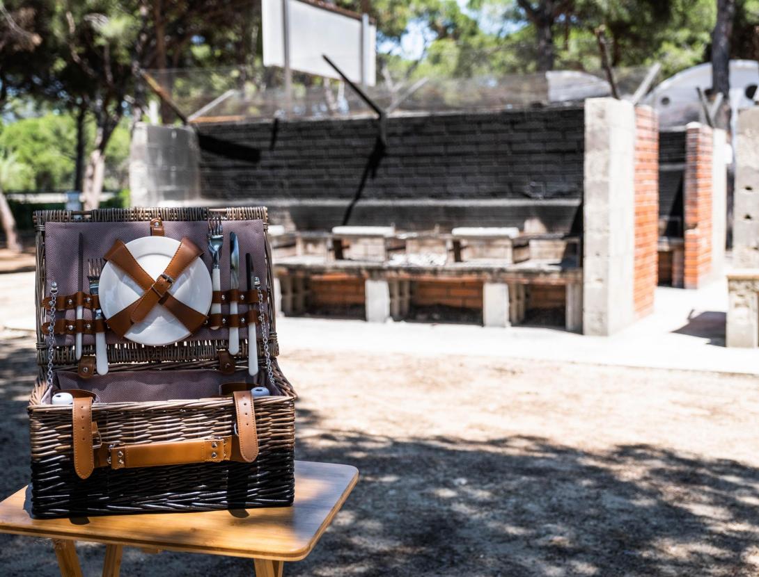 AREA DE PIC-NIC Y BARBACOAS EUROPA