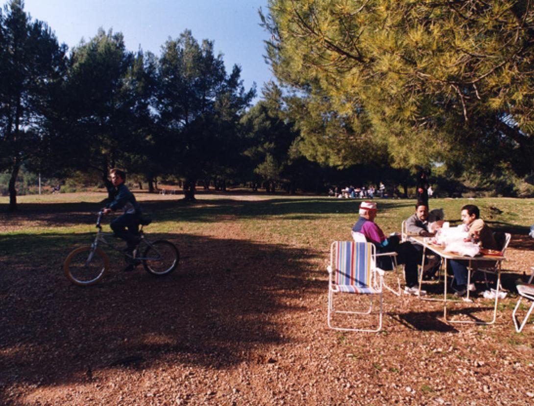 Àrea de picnic de Can Roca