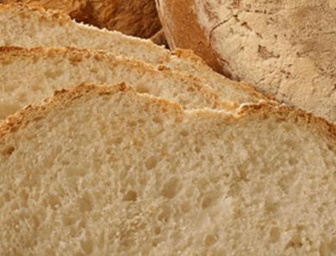 Pa de Pagès Català