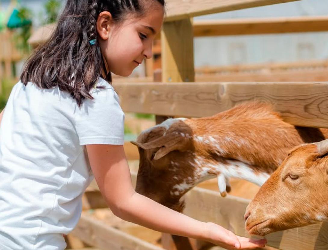 Granja Espai Botànic Les Tanques