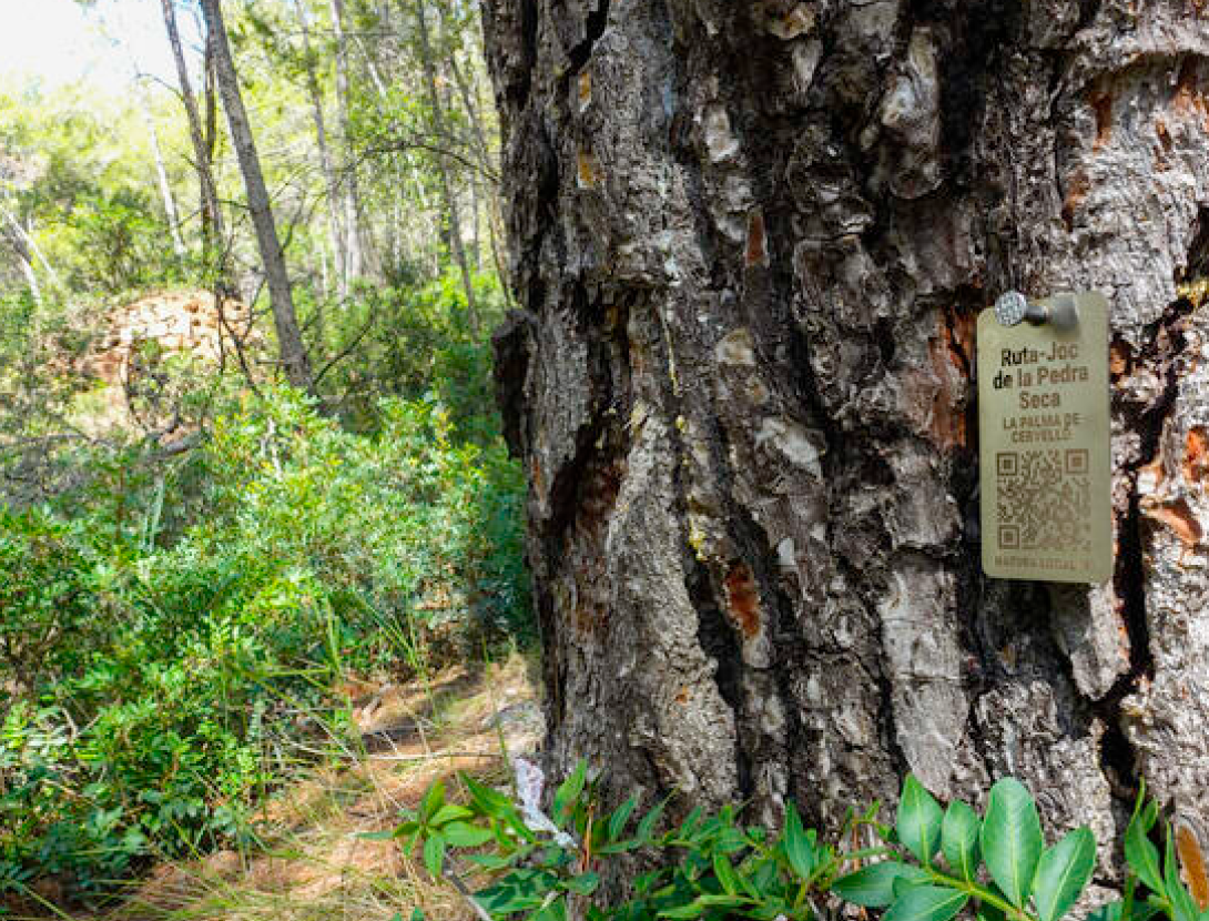 Pedra Seca La Palma de Cervelló