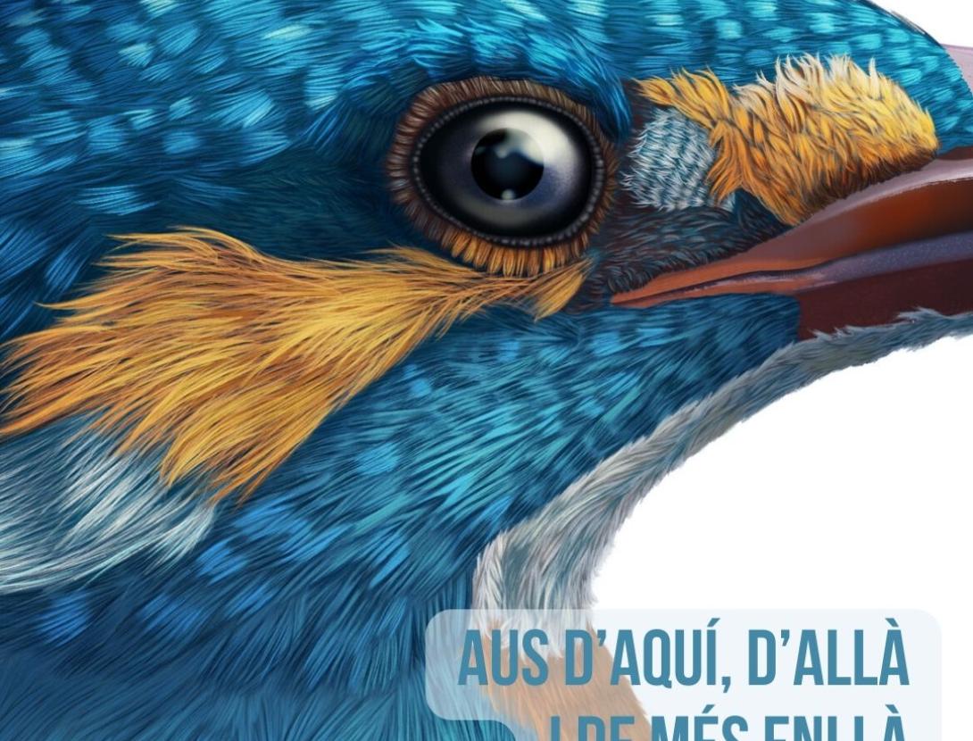 Rutes d'interpretació de la natura