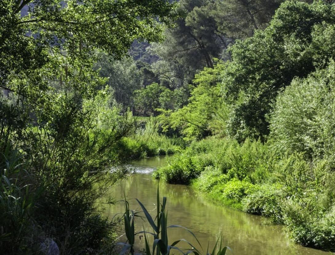 El Riu Anoia