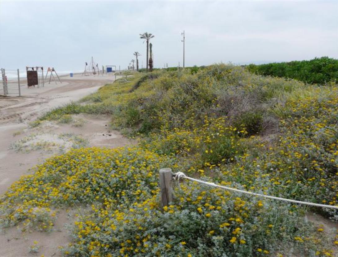 P1150639 (Small).JPG