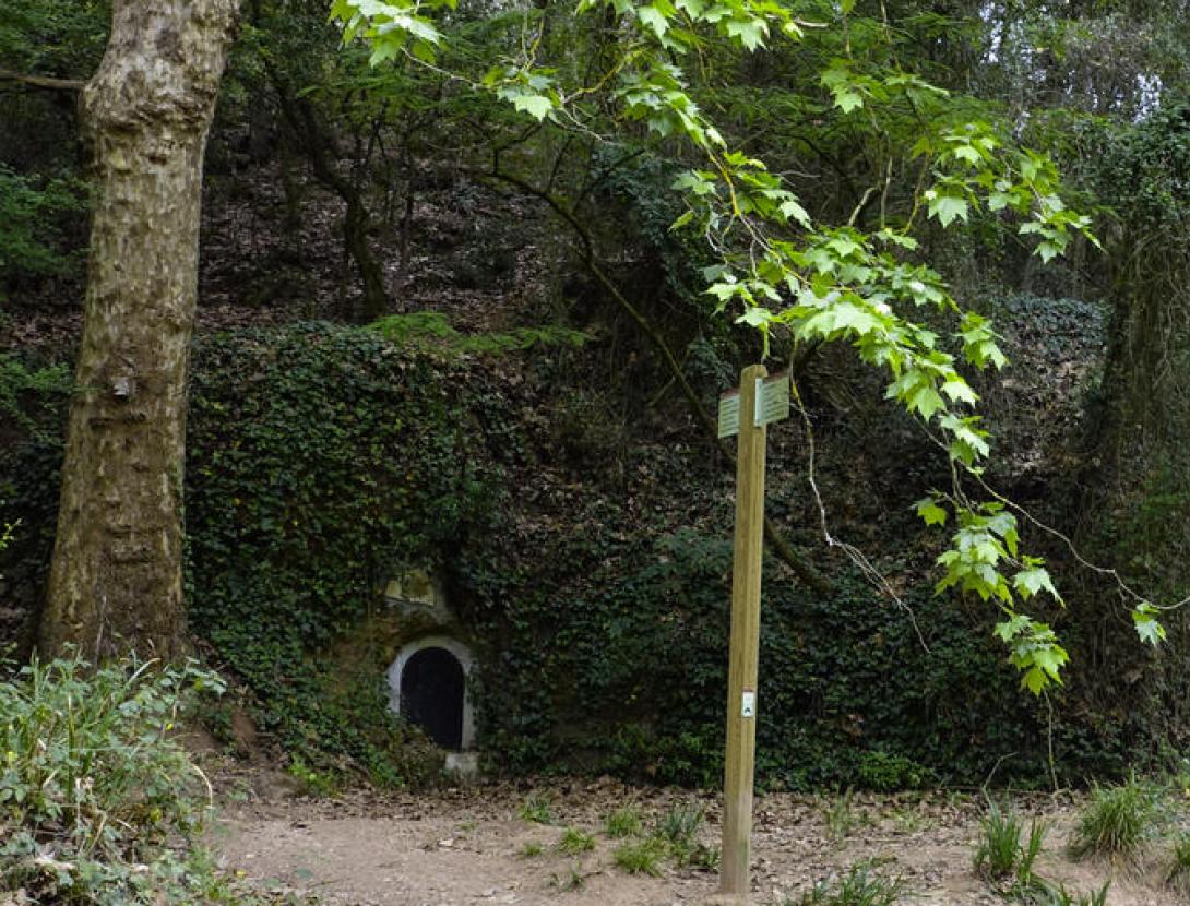 Font de la Flavia. Natura Local