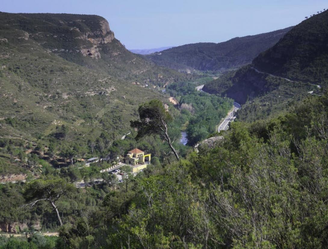 Congost del Cairat. Natura Local
