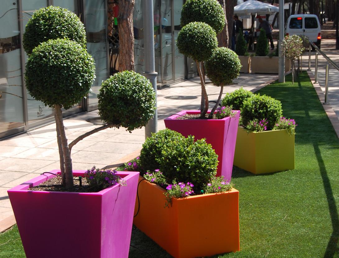 entrada restaurant.JPG